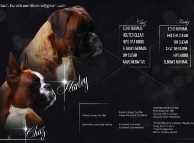 Coming to you first part of October 