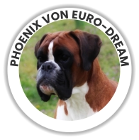 PHOENIX VON EURO-DREAM