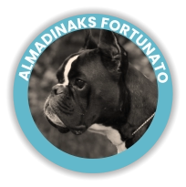 Almadinaks Fortunato