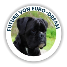 Future Von Euro-Dream