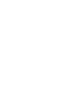 Future