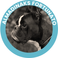 Almadinaks Fortunato