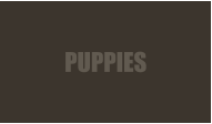 PUPPIES