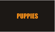 PUPPIES