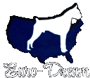 Euro-Dream