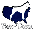 Euro-Dream